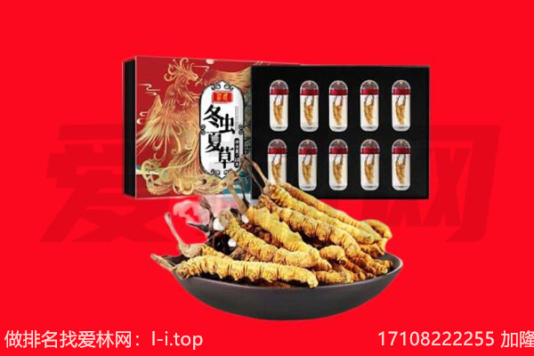 伊犁巩留县回收虫草.jpg